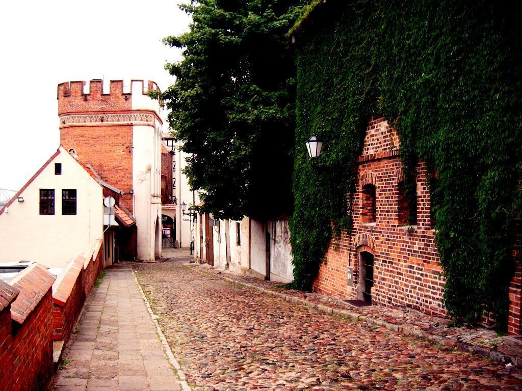 Apartament Pod Kopernikiem II Stary Toruń Exteriör bild